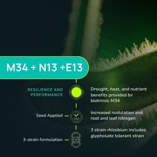 M34 (2)-1