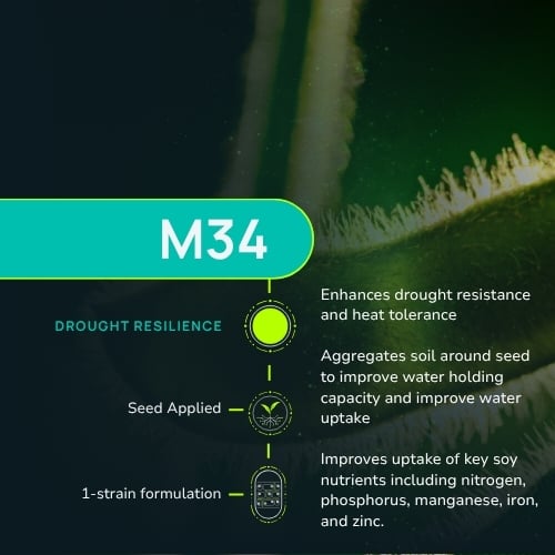 M34-1