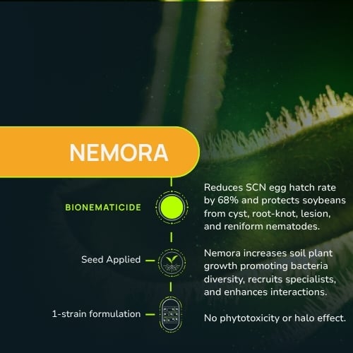Nemora-1
