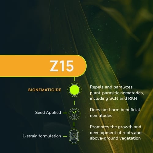 Z15