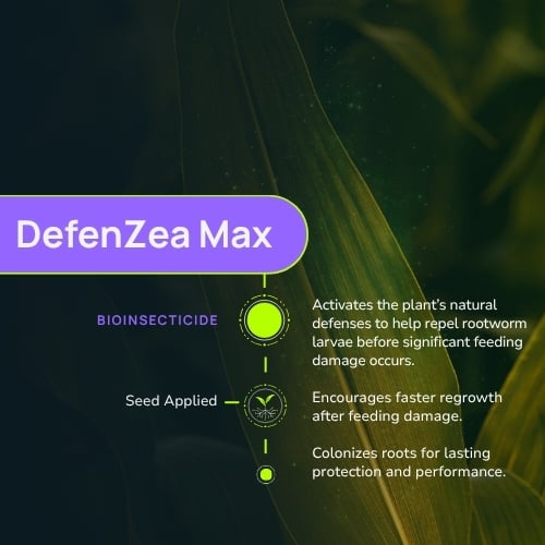 DefenZea Max