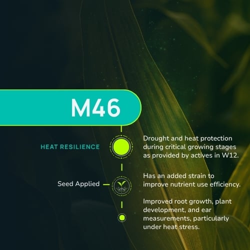 M46