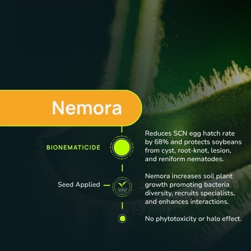 Nemora-2