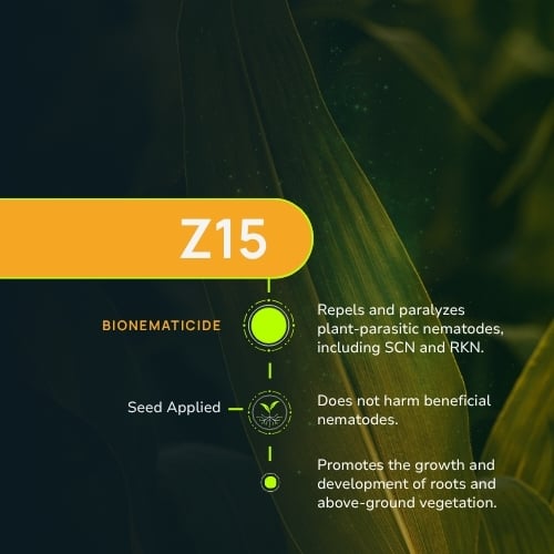 Z15-1